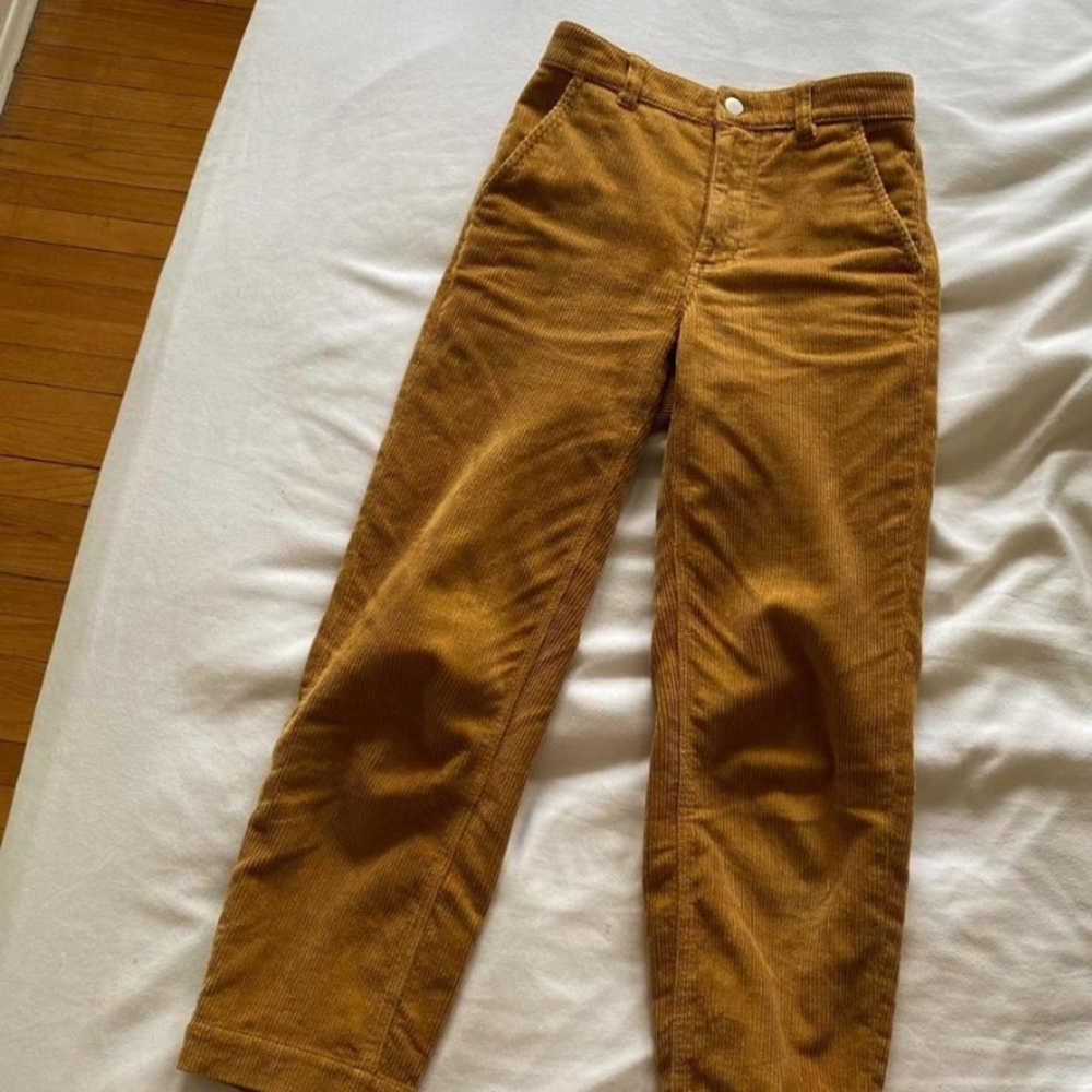 Everlane brown corduroy pants